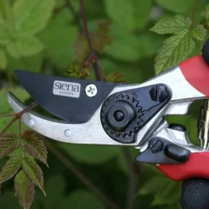 SIENA GARDEN Gartenschere Schneideflink Länge: 21 Cm 12