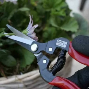 SIENA GARDEN Premium Lese-, Ernte- Und Blumenschere Länge: 19 Cm 13
