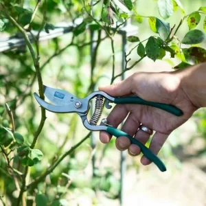 SIENA GARDEN Bypassschere Gartenschere Scheren Pflanzenschere Gartenarbeit Blumenschere Hecke 13