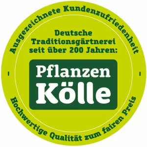 Beistelltisch ‘Siero’, Siena Garden, Anthrazit, Höhe 74 X Ø 41 Cm 15