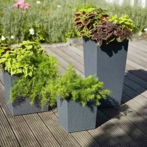 SIENA GARDEN Pflanzgefäß NIZZA, Graphit Rillenoptik, 25 X 25 X 46,5 Cm Kunststoffgefäß Mit Einsatz 15