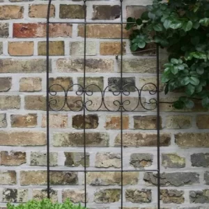 SIENA GARDEN Rankgitter Lilie, Metall Dunkelgrau, Unterverzinkt 45 X 160 Cm 7