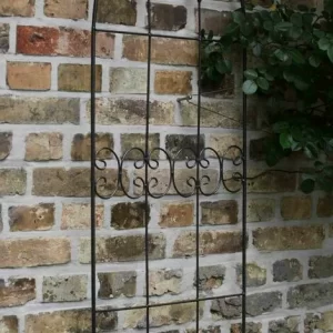SIENA GARDEN Rankgitter Lilie, Metall Dunkelgrau, Unterverzinkt 45 X 160 Cm 9